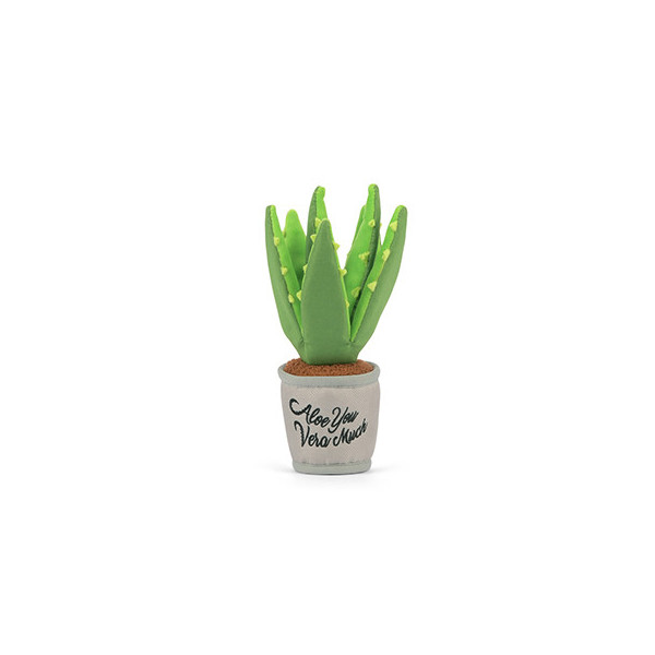 Aloe-ve You Pflanze, Blooming Buddies Kollektion