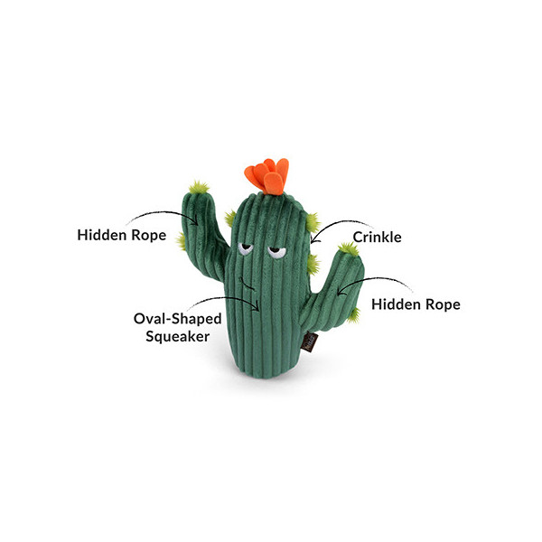 Kaktus, Prickly Pup Cactus, Blooming Buddies Kollektion