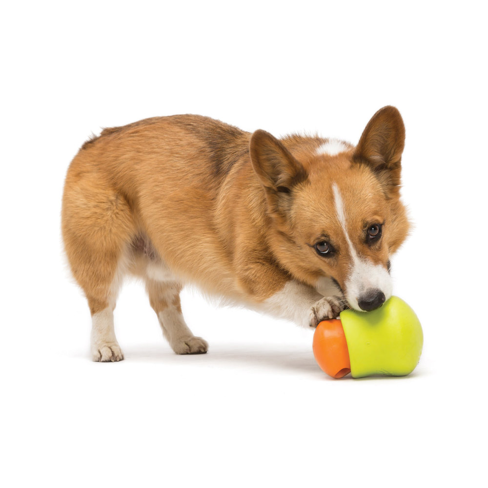 Toppl West Paw Hundespielzeug