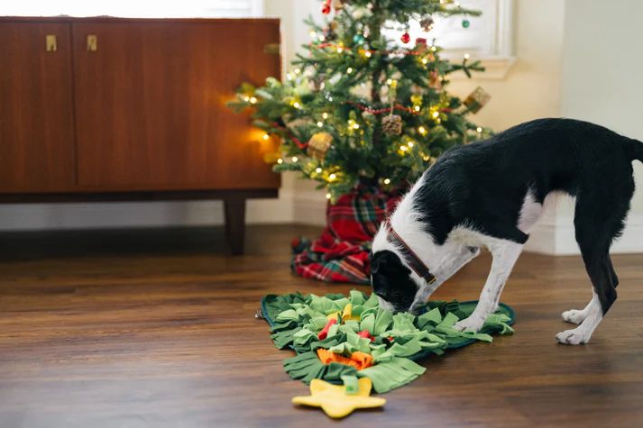 Schnüffelmatte Weihnachtsbaum, Weihnachten