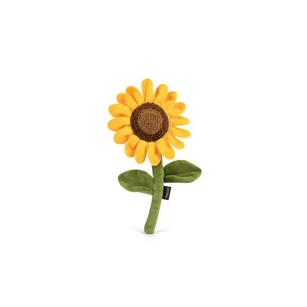  Sonnenblume, Sassy Sunflower, Blooming Buddies Kollektion
