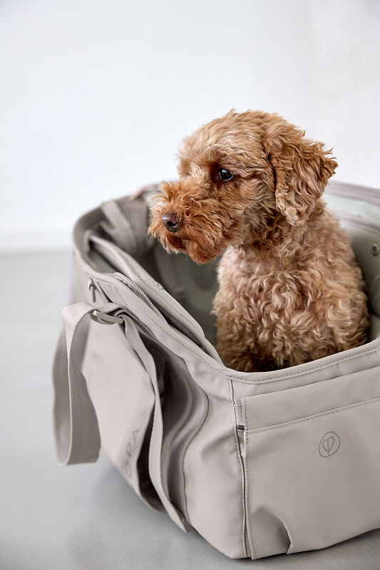 Hundetasche - Weda, Taupe