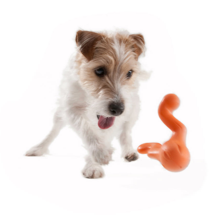 Tizzi West Paw Hundespielzeug