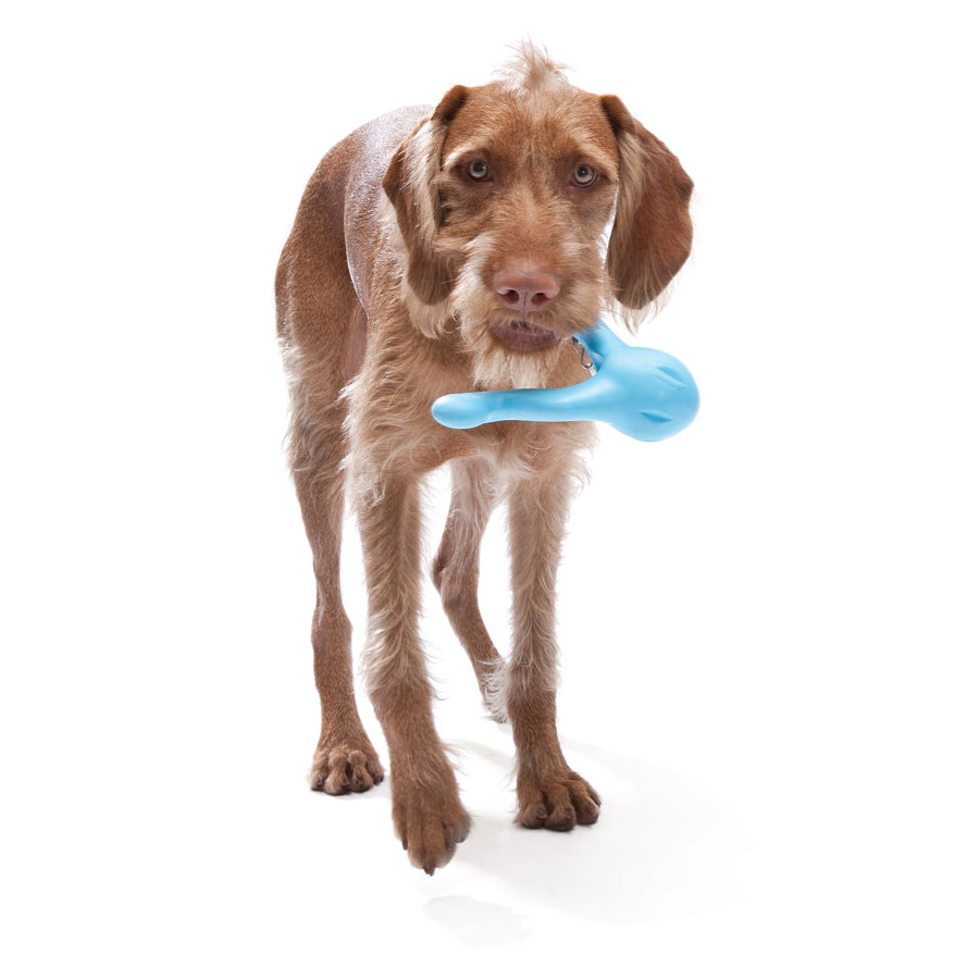 Tizzi West Paw Hundespielzeug