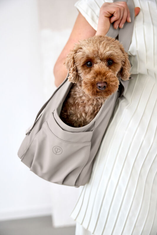 Hundetasche - Weda, Taupe