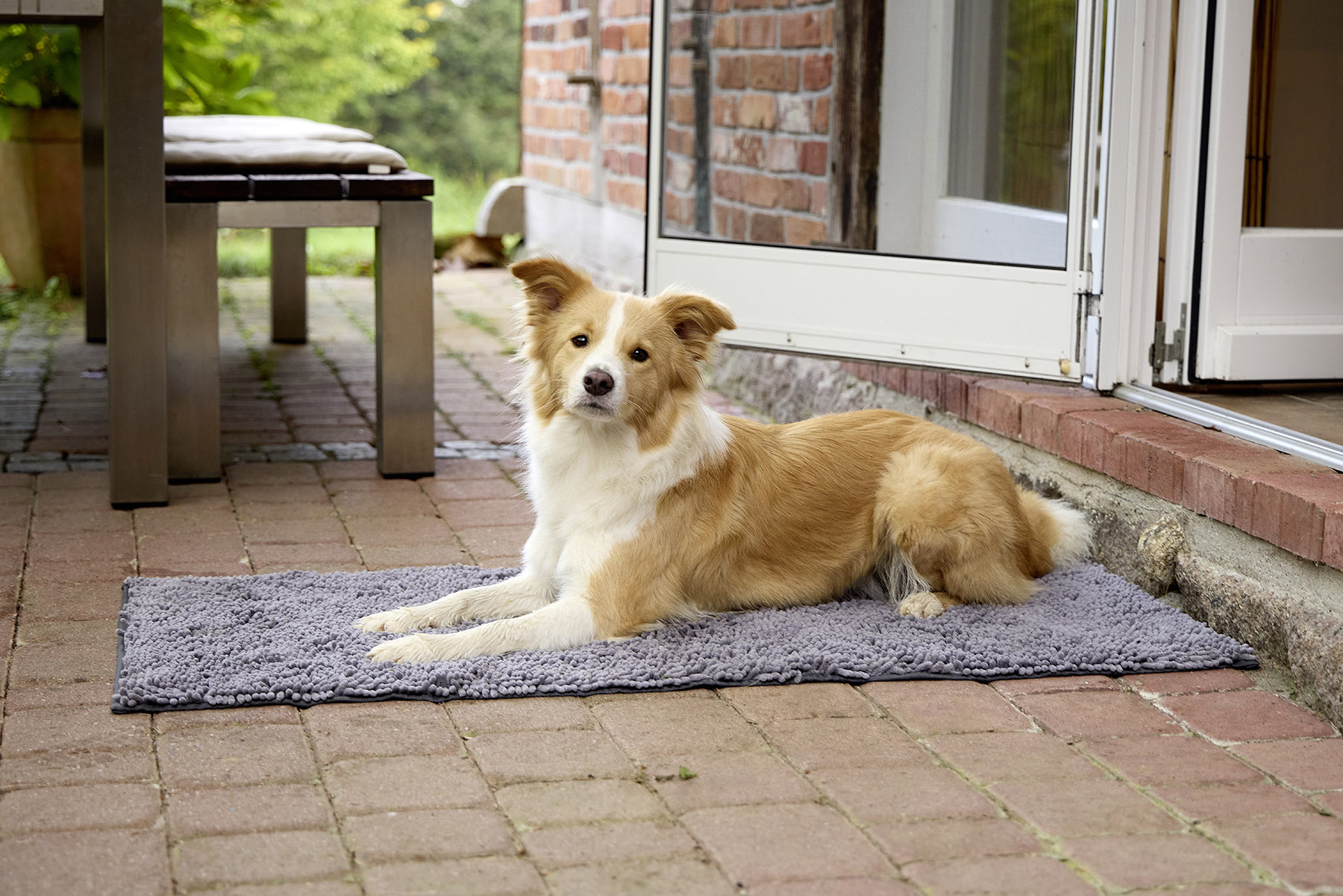 Cleankeeper Runner, Dirty Dog Doormat Runner (2 Farben)
