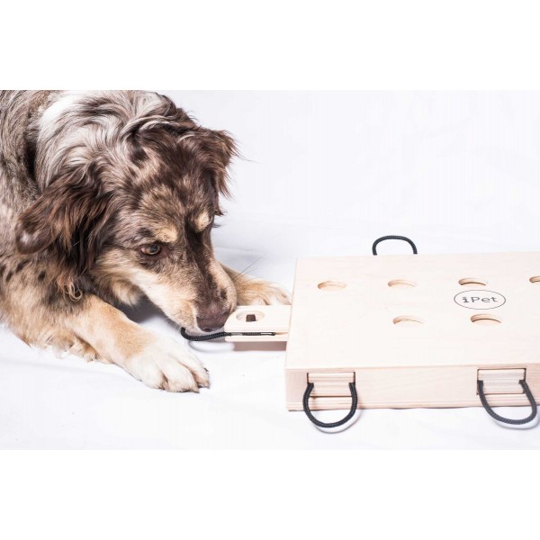 iPet-Smart Dog, ein Laptop für Hunde