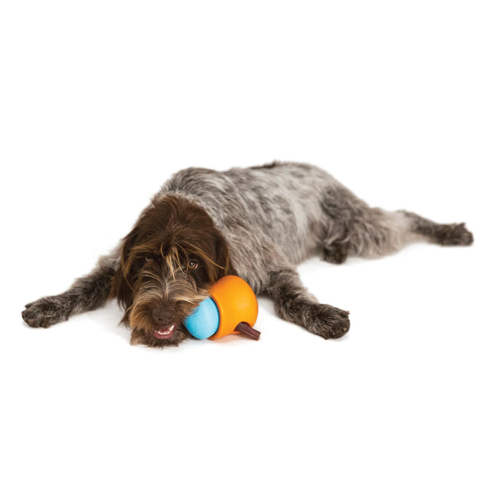 Toppl West Paw Hundespielzeug