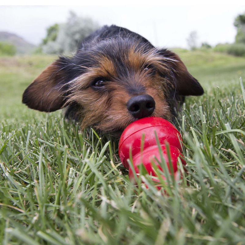 KONG Easy Treat Leber