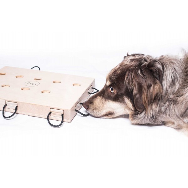 iPet-Smart Dog, ein Laptop für Hunde