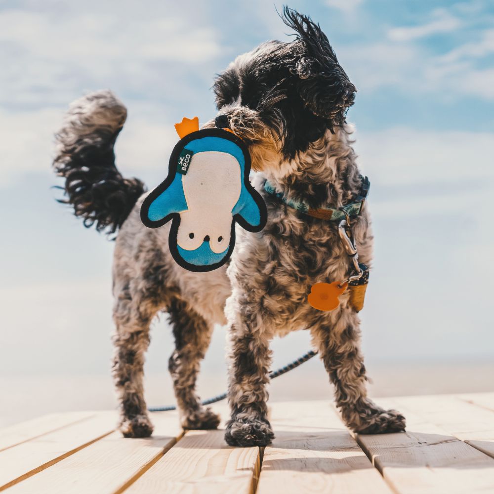 Beco Plush Toy - Pinguin Small Plüschspielzeug